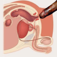 Трахни меня, пожалуйста